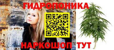 эйфоретик Тула