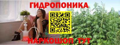 дживик Тверь